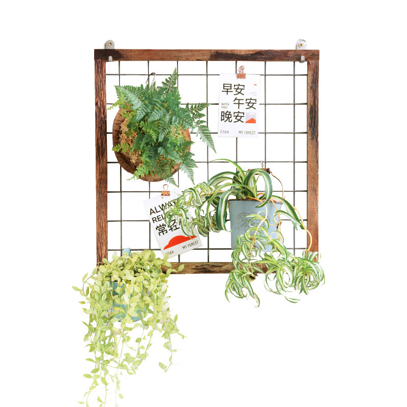 麦芽森林 欧式阳台壁挂垂吊室内装饰花卉植物盆栽网X格板组合套餐