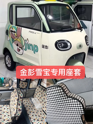金彭雪宝专用座套坐垫三轮车座套