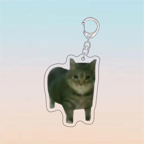 食物猫猫头钥匙扣透明Q萌高颜值送朋友游戏饰品可爱挂饰书包挂件