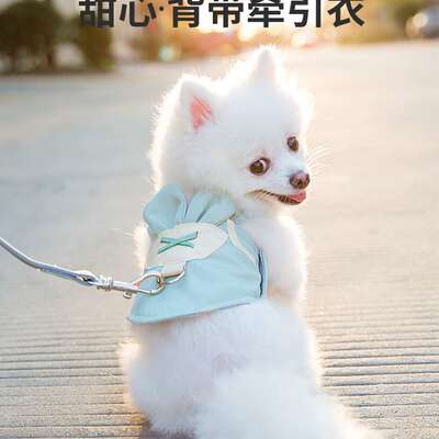 背心式狗狗牵引绳遛狗绳狗链背带幼犬小型犬泰迪比熊博美猫咪用品