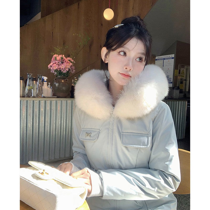 维斯小姐「雪之国」狐狸