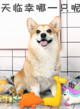 速发 蔓柯玩婉-moster乳胶基具发声玩具耐咬磨牙玩具柯基