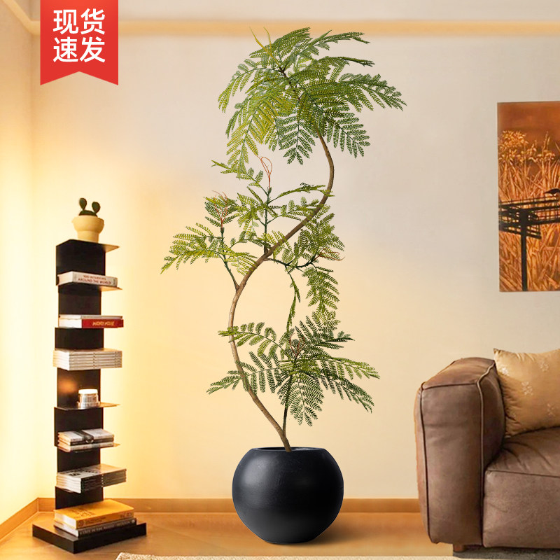 速发植物蓝花地落楹盆栽室内大型仿生厅植摆件客绿轻奢装饰氛围树