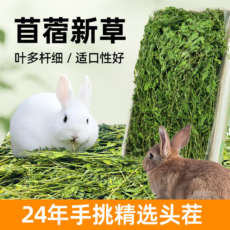速发摩兔草兔苜蓿草干晒干提幼西草段料子干草烘干豚鼠猪饲料
