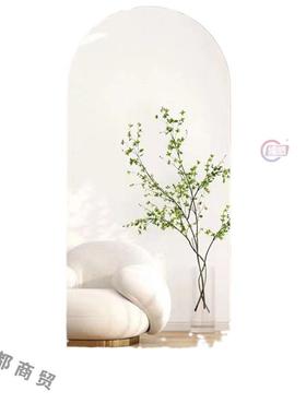 家居全身镜可移动子全轮身镜镜子带高清防爆KNF穿衣多功能显瘦落