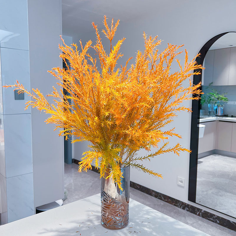 神仙切枝氛围感满满千层金鲜花B黄金香柳云南直发插花水养花期长