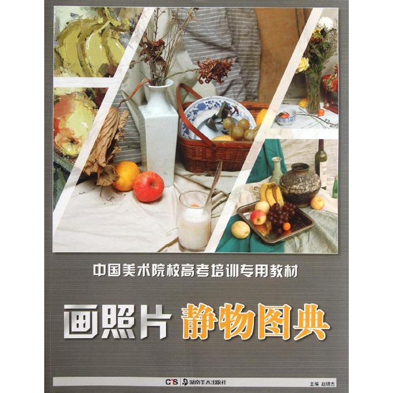 【正版包邮】 中国美术院校高考培训专用教材:画照片 静物图典 赵锦杰 编 著作 湖南美术出版社