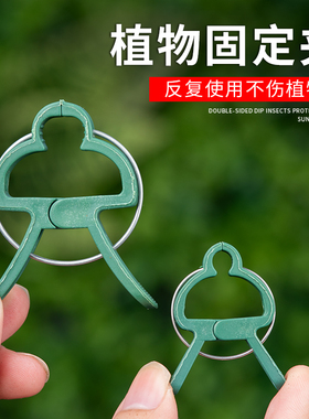速发绿色植物固定夹蔬菜色茄固定夹绿番藤蔓花卉枝蝶爬藤蝴条兰卡