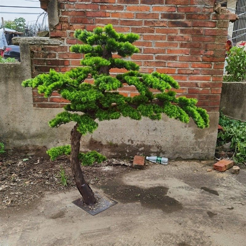 仿真迎客松假松树景观罗汉松酒店室内装饰商场大型V摆件美人迎客