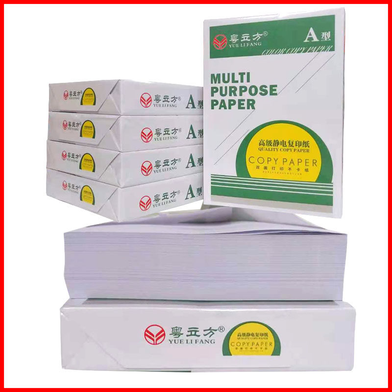 A4防静电复印纸5包张箱打印纸xa4白纸粤立方牌450张包多功能复印