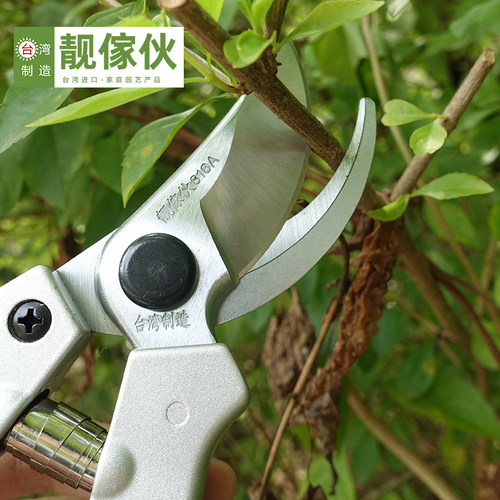 园艺剪枝剪刀修枝剪果树不锈钢园林花艺J剪子工具修剪树枝剪刀花