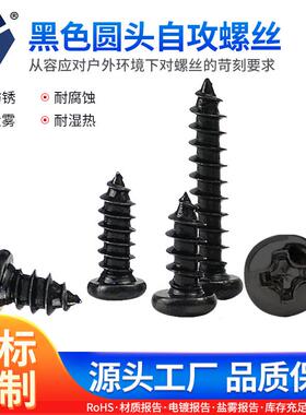 PA2x6→2x14黑色圆头自攻螺丝304不锈钢GB845螺丝高盐雾达克罗
