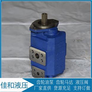 徐工装 佳和液压 载机用齿轮油泵803072271泊姆克双联泵