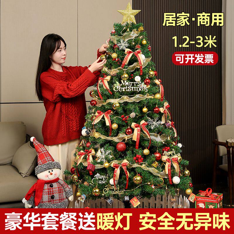 圣诞树2024新款家用diy套