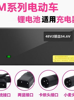 适用于爱玛电动车电瓶车充电器48v12ah54.6v2A3a5a锂离子电池通用