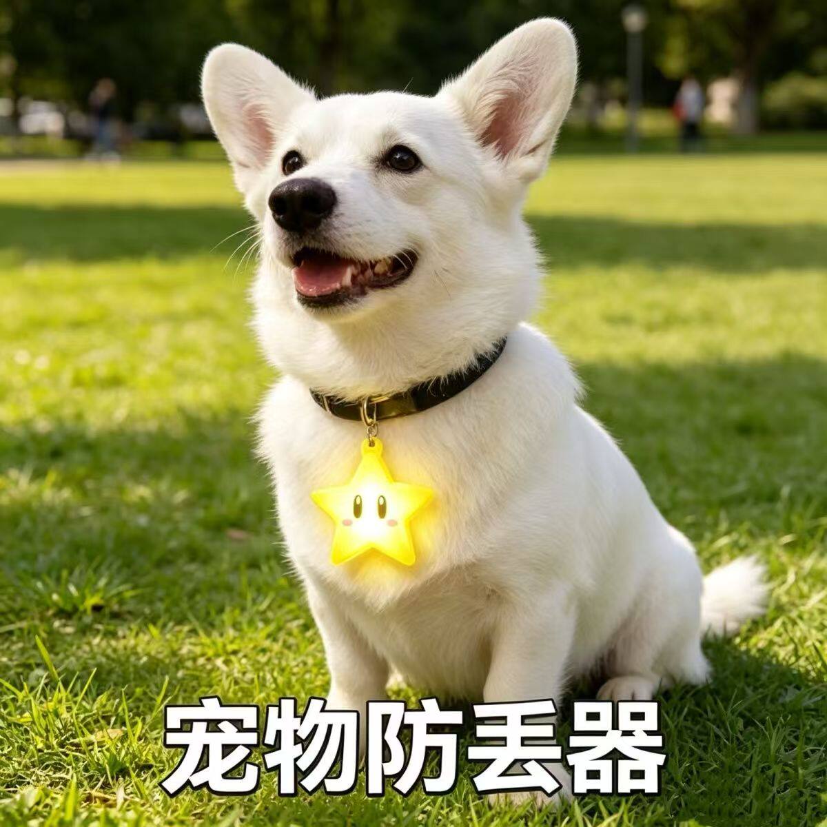 萌宠发光星星遛狗狗狗夜行吊坠灯防项圈衣服走失配饰宠物胸背装饰