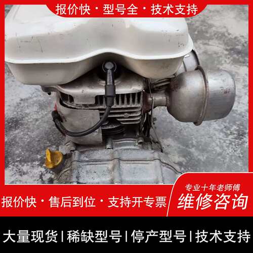 议价 维修G200 MAX.5.0-197cm3 汽油卡