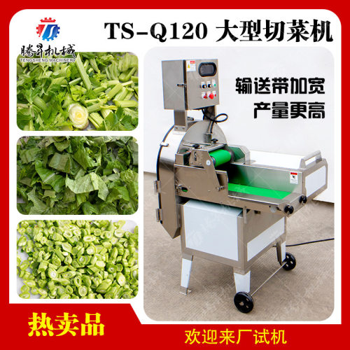 食堂用果蔬切片切条切段机多功能切菜机商用全自动切葱韭菜酸菜机