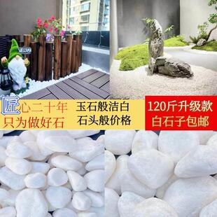 120斤白子铺园路铺地装饰庭MhGbm2Tz院造小石景头园林花景石观白
