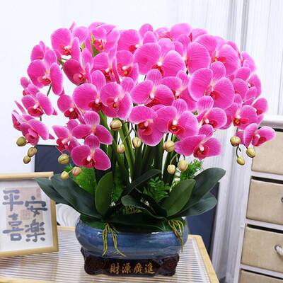 特酒大号彷真花保湿手PU蝴蝶兰客厅装饰花电感柜玄关DCE视假花柜