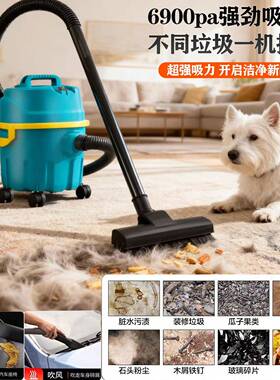 台110V可吸水用吸尘器湾日本越南等家修JS2402-2美缝洗车工业级装