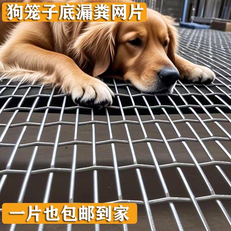 狗笼底漏粪大笼子鹅底网片养羊鸡鸭鸽舍踩漏粪ZPY网宠物型垫脚网