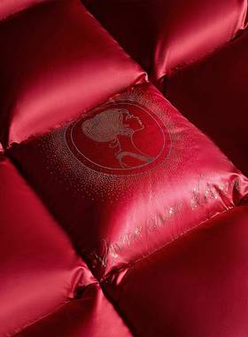 HNA高档秋冬季加厚烫钻子95%白羽鹅绒大绒被蓬松真丝缎红色保暖被