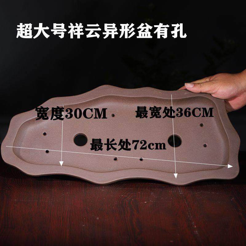 紫盆景盆特大肉号多丛林水花旱造景假山CYV盆大口浅底砂异形盆,鲜花速递/花卉仿真/绿植园艺,花盆,淘宝优惠券,粉丝福利购,淘宝优惠卷