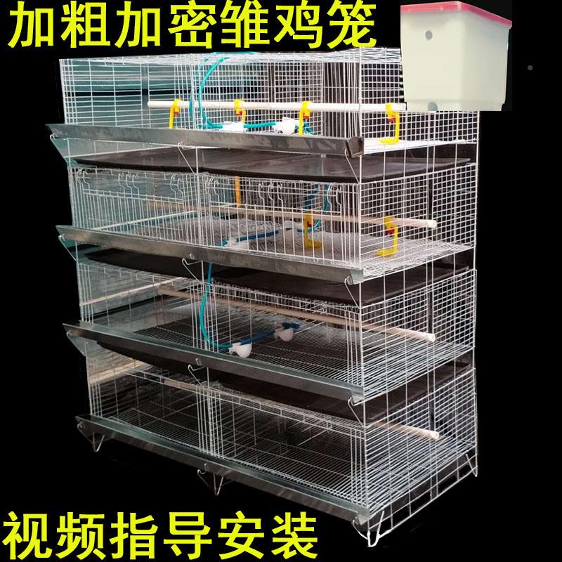 育雏加家粗鸡笼雏鸡笼温立式脱养殖小鸡鸭鹅笼肉鸡用养小殖088育