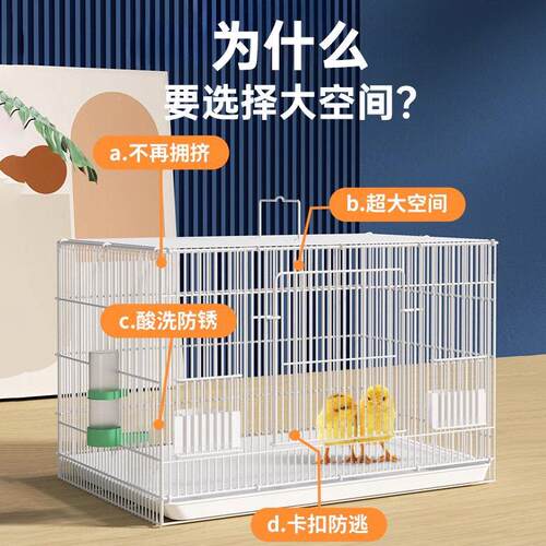 小鸡笼丁子家用室内外大自号漏粪鹌鹑养鸡鸭鹅WB8955铁动丝网芦鸡