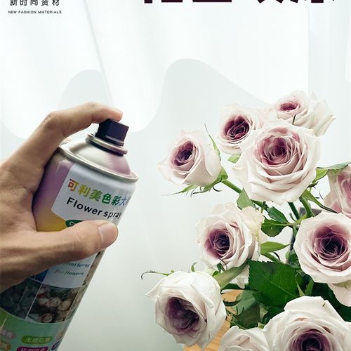 速发新款花店常备喷漆染色花艺不伤材染料吸色花料无异味