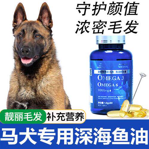 速发马犬专用深鱼海油用鲑鱼油毛发爆毛粉卵磷脂营养液