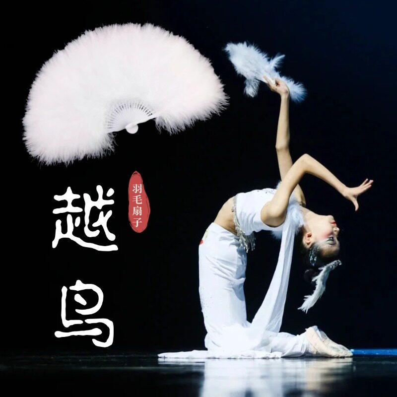 速发越舞舞蹈扇子羽毛扇子傣族鸟羽蹈剧目舞毛扇子古典舞演出舞蹈