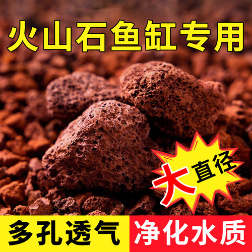 速发火山石鱼缸底用造景专砂大号粒山岩颗火水族古法养鱼滤材石头