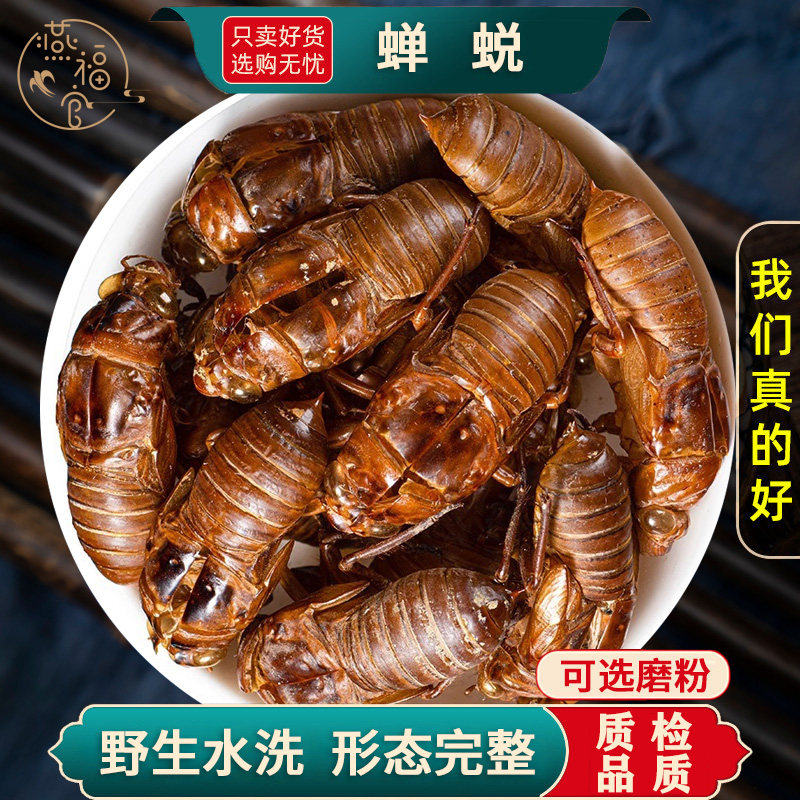 野生水洗蝉蜕中药材正品官方旗舰店蝉衣金蝉衣知了皮壳虫退蝉退壳