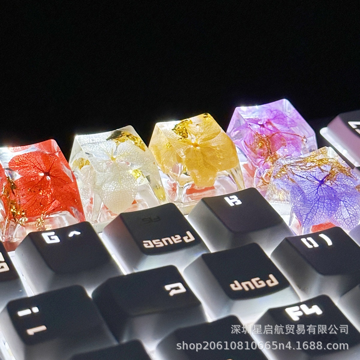 XH009原创滴胶金箔纸键帽