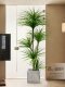 彷真绿植龙血树落地盆栽室内大型植物摆件客厅轻奢装 饰花假树造景