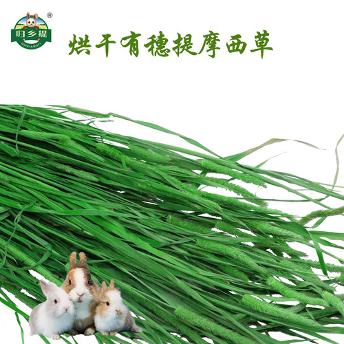 归乡提烘干有穗提草提摩西草干草