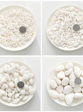 厂家生产白石子造景白水色鹅卵WDG石山园林绿化铺面用色石枯白子