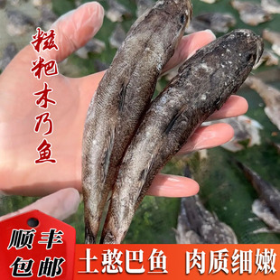 糍粑木乃鱼湖北特产阳干土憨巴鱼沙塘澧呆子鱼虎头鱼不咸不淡350g