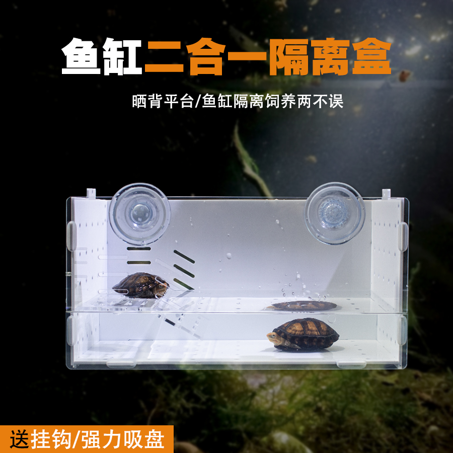 乌龟发色盒鱼缸内亚克力悬浮晒台隔离盒吸盘孵化器白色透明红面蛋