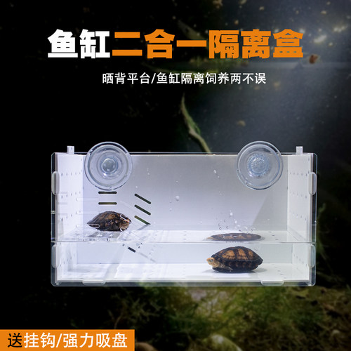 乌龟发色盒鱼缸内亚克力悬浮晒台隔离盒吸盘孵化器白色透明红面蛋