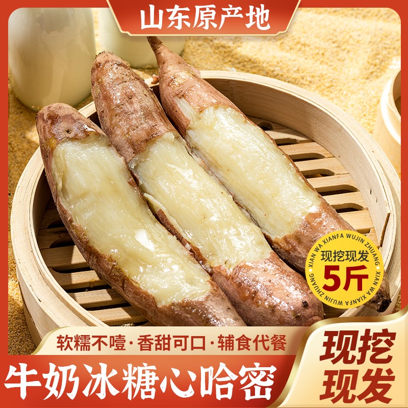 所有女生直播间好物复购哈密白薯