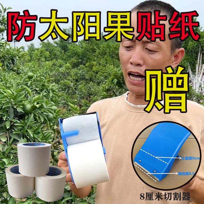 柑橘防太阳果贴纸防晒涂白剂果膜避免粑粑柑晚伦爱媛柚子日灼果子
