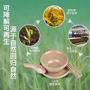 可降解餐具稻谷壳一次性碗碟筷子三四件套装高档野餐结婚庆酒席家