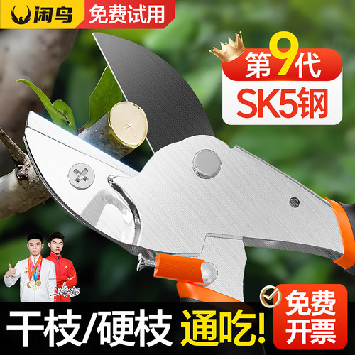 闲 鸟园艺剪刀修剪树枝剪刀修枝剪果树果园粗枝果枝修树枝专用剪
