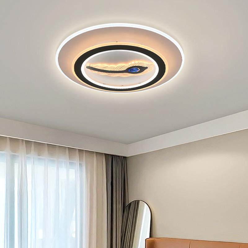 客厅灯2023年新款长方形单羽毛轻奢现代简约卧室灯led吸顶灯灯具