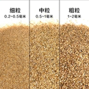 饰装 鱼缸造景天然河沙底沙水洗沙烘干沙实验用沙装 饰原生溪流石