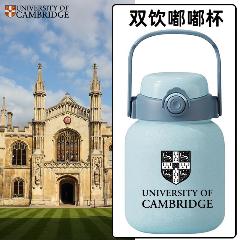 剑桥大学周边纪念保温水杯一盖双饮吸管杯大肚杯不锈钢嘟嘟杯dt