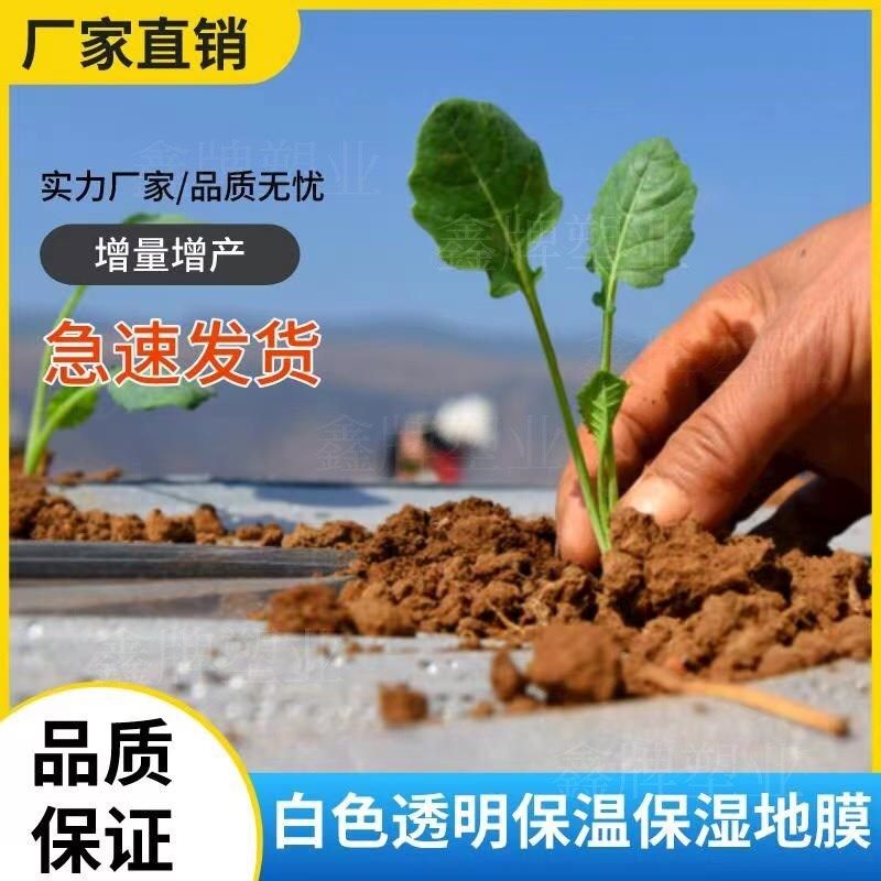 农用薄膜白地膜加厚膜育苗保温透明保湿蔬菜保护大Z棚种地种田,农机/农具/农膜,农用薄膜,淘宝优惠券,粉丝福利购,淘宝优惠卷